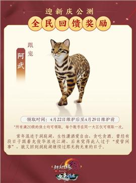 盛大授权天龙八部私服